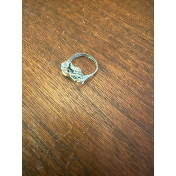 Elephant ring - Picture 1 of 7